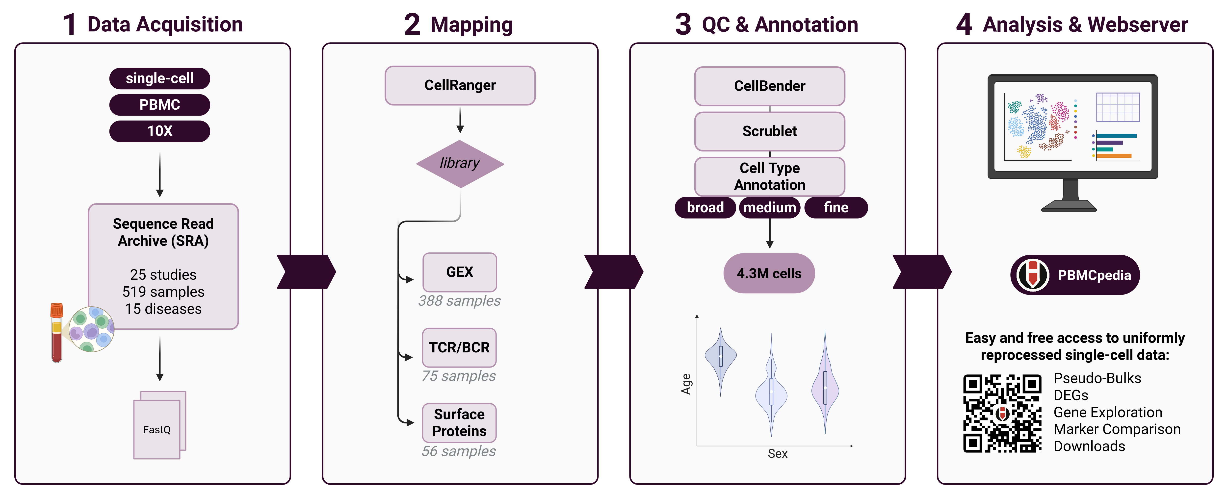 Graphical abstract summarizing the PBMCpedia study