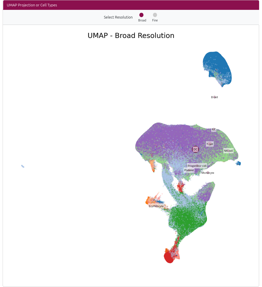 Interactive UMAP Cell Type Visualization