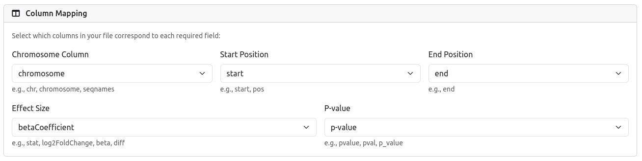 Column Mapping Interface